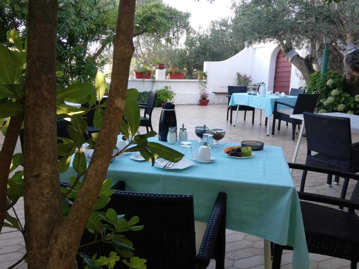 Riviera Rooms And Apartments Palit Dış mekan fotoğraf